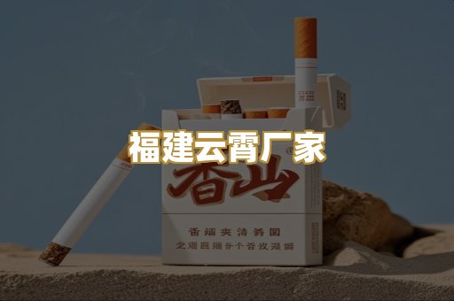 福建云霄厂家